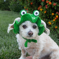 Frog Pet Hat (Hunter Green): Handcrafted Crochet Costume for Cats and Small Dogs