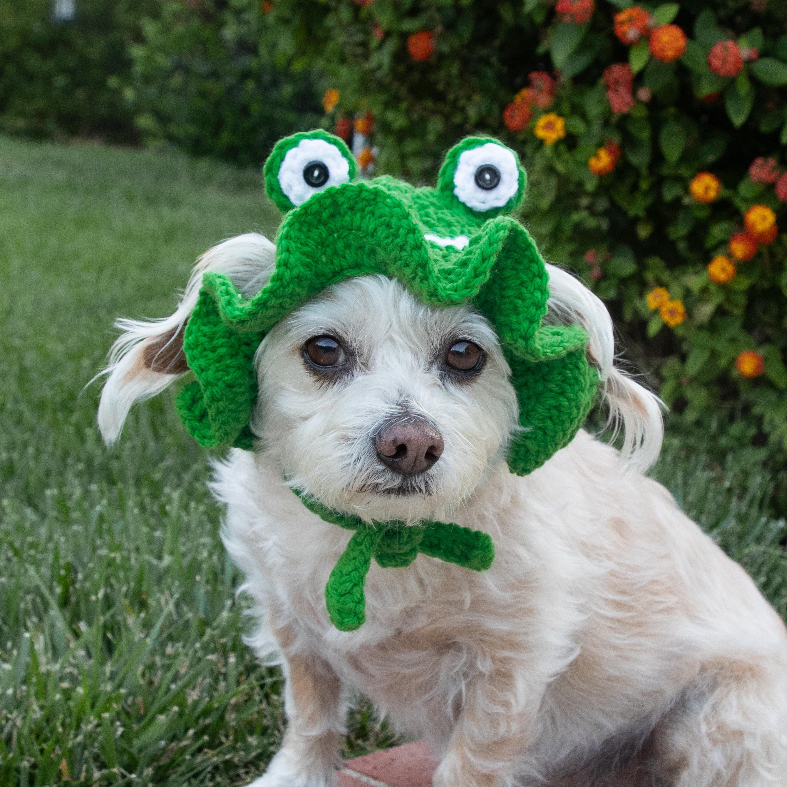 Frog Pet Hat (Hunter Green): Handcrafted Crochet Costume for Cats and Small Dogs